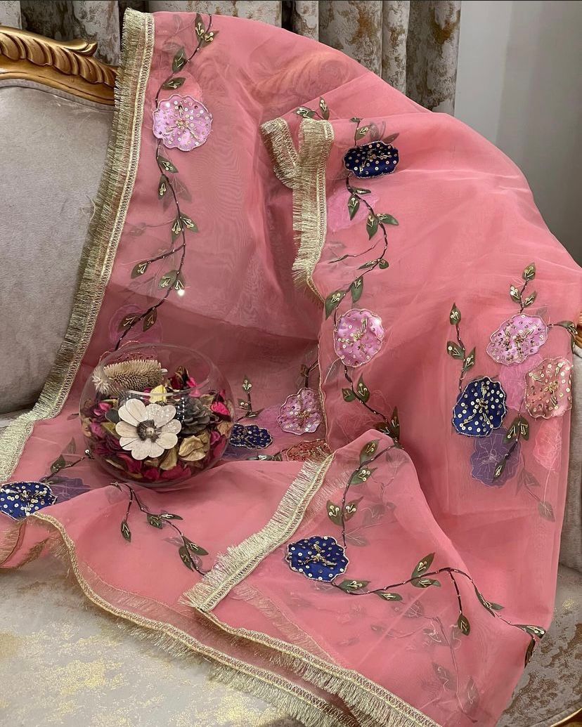 Organza Brush Pant Suit with Heavy Nagina Dupatta – Premium Collection