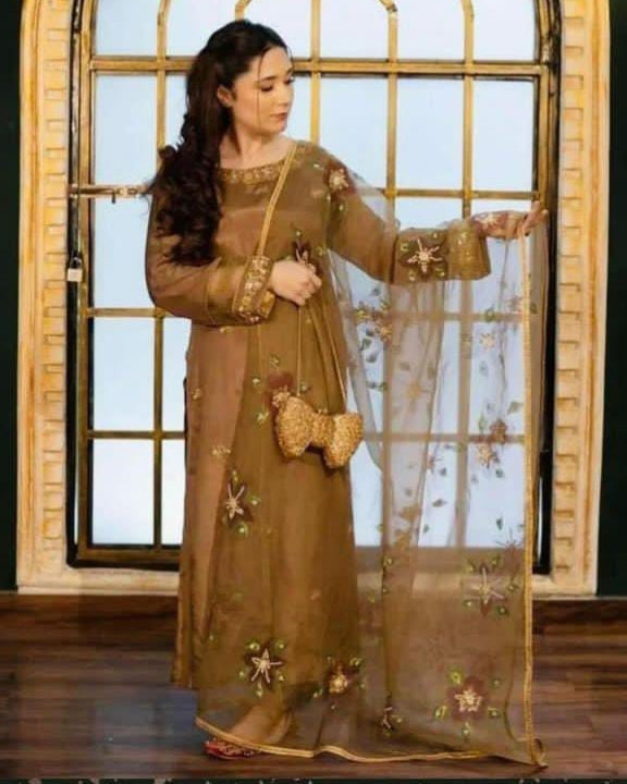 Fancy 3pc zarri embroidered