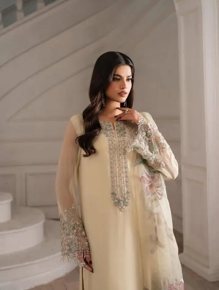 Iznik Brand Hit Cod Most Beautiful Handwork Adda Work Pure Organza - 2 piece