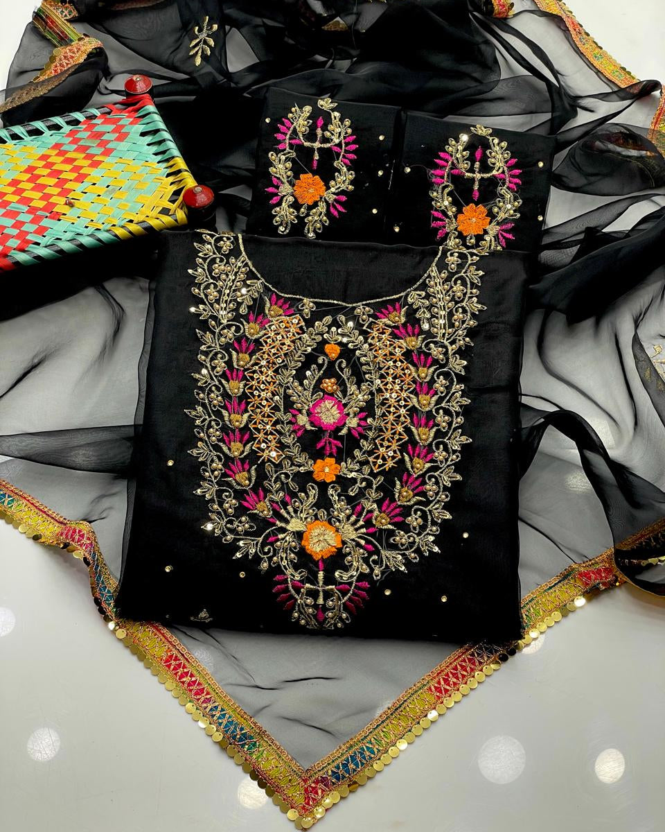 Organza Embroidered - 2 Piece