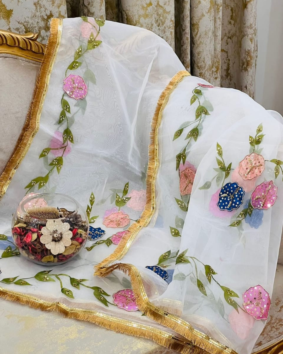Organza Brush Pant Suit with Heavy Nagina Dupatta – Premium Collection