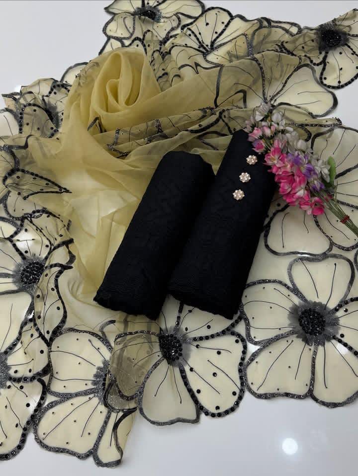 Chikankari Lawn Organza Cutwork Duppata-3 Piece