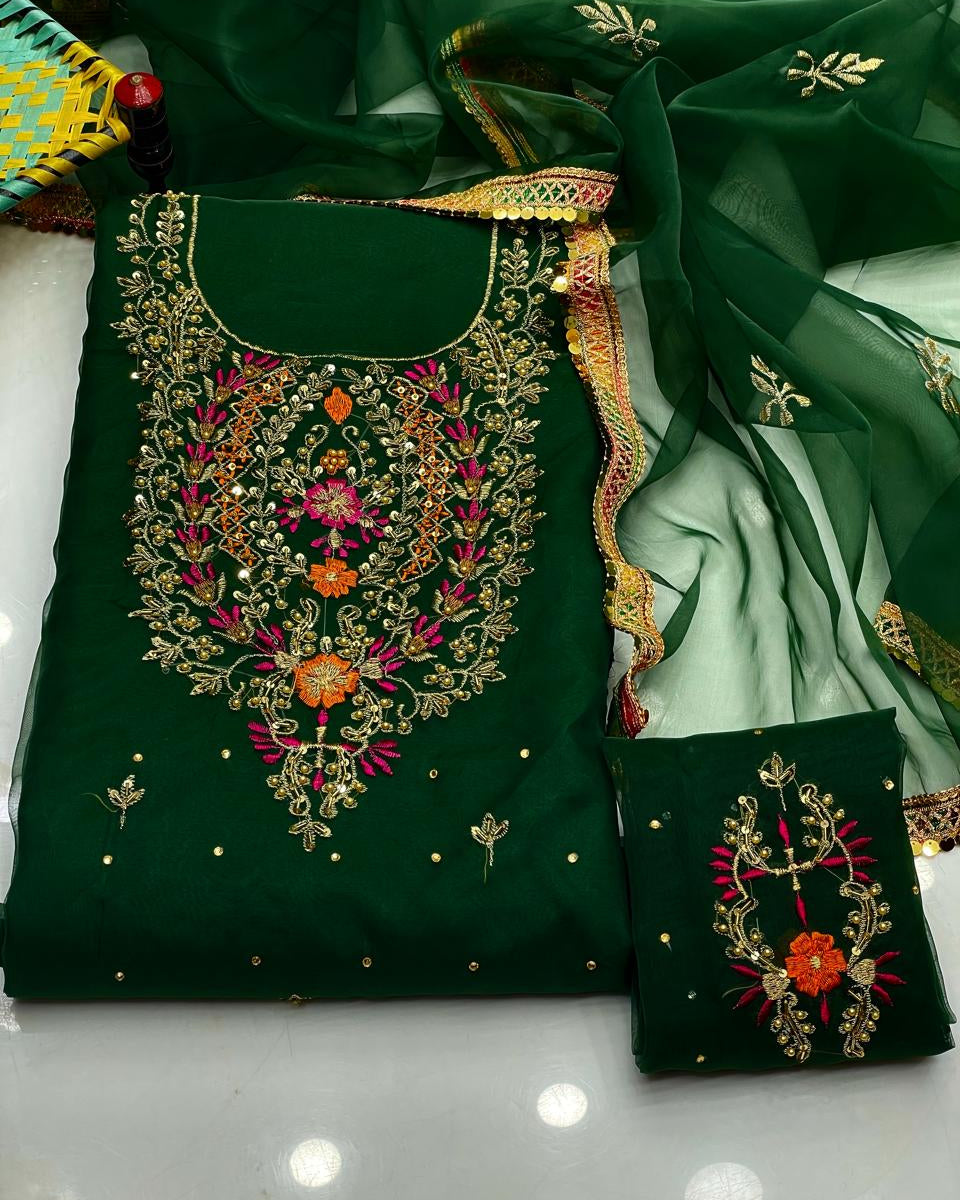 Organza Embroidered - 2 Piece