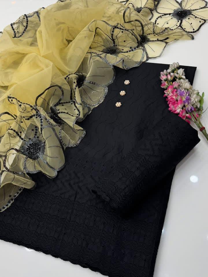 Chikankari Lawn Organza Cutwork Duppata-3 Piece