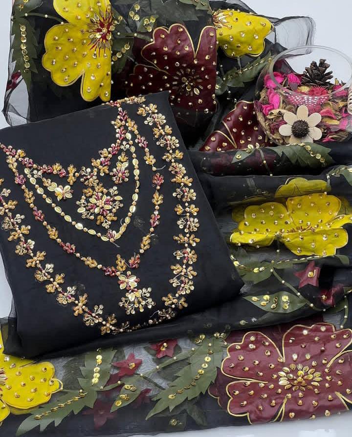 Organza Hand Embroidered Brush Painted Dupatta - 2 piece