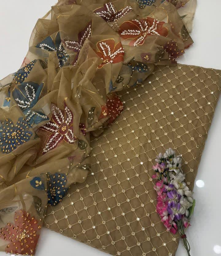 Fancy Party Wear Soft Organza 9mm - 2 piece