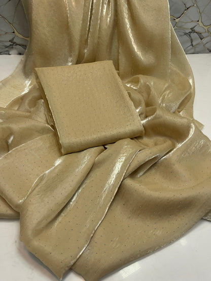 Korean Sheesha Silk sari