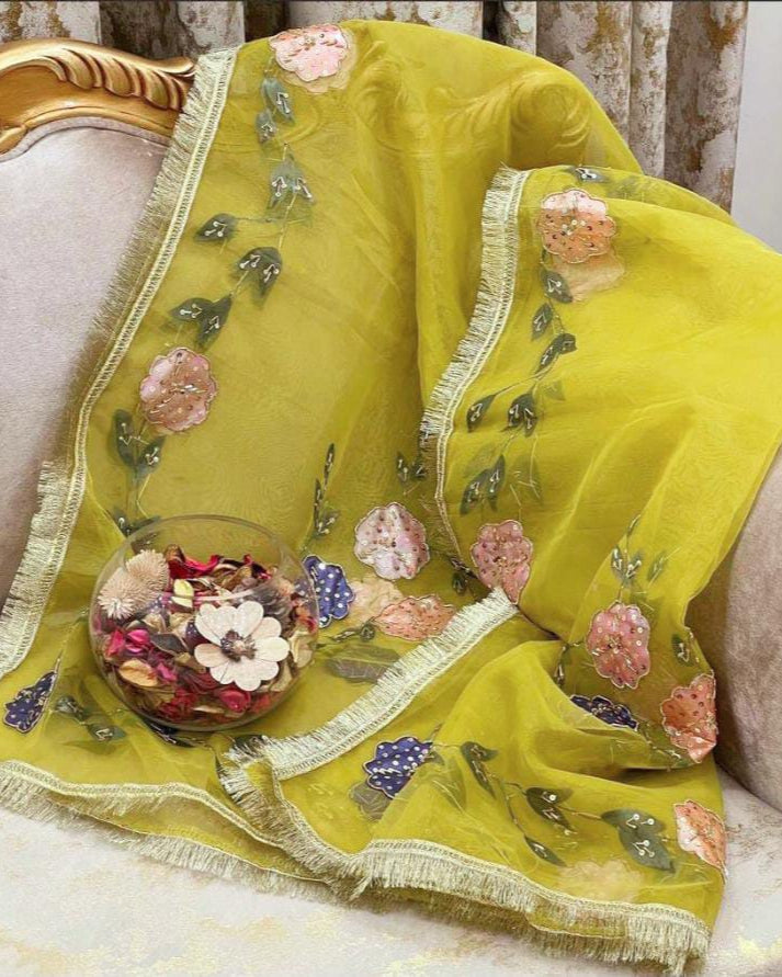Organza Brush Pant Suit with Heavy Nagina Dupatta – Premium Collection