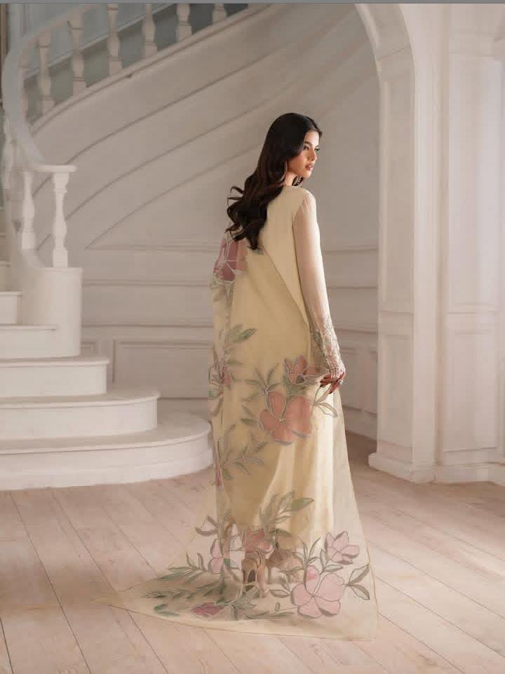 Iznik Brand Hit Cod Most Beautiful Handwork Adda Work Pure Organza - 2 piece