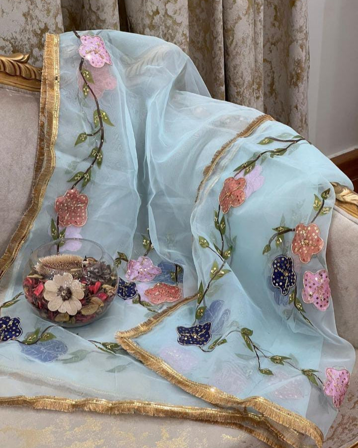 Organza Brush Pant Suit with Heavy Nagina Dupatta – Premium Collection