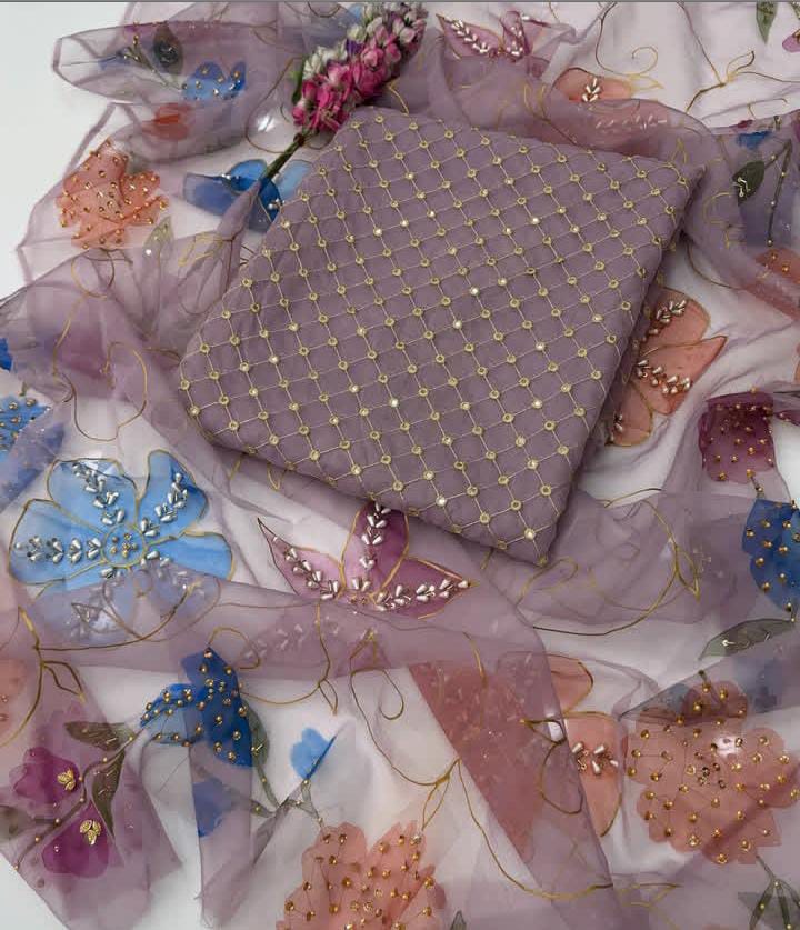 Fancy Party Wear Soft Organza 9mm - 2 piece