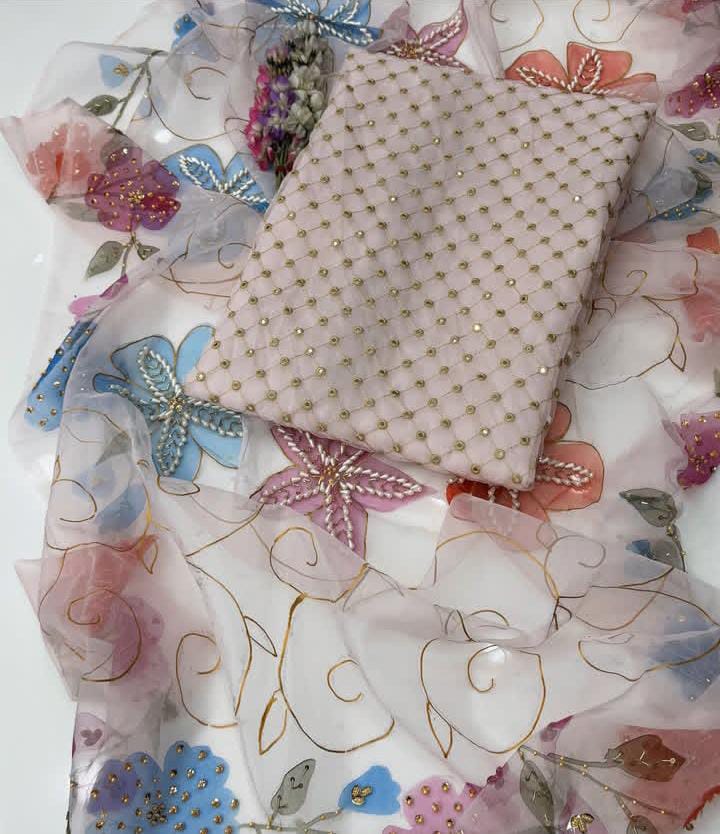 Fancy Party Wear Soft Organza 9mm - 2 piece